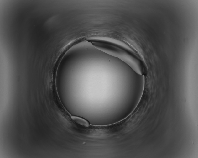 X0000085830107200703231429