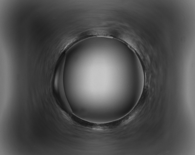 X0000085830109200703231429