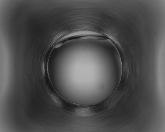 X0000085830110200703231429