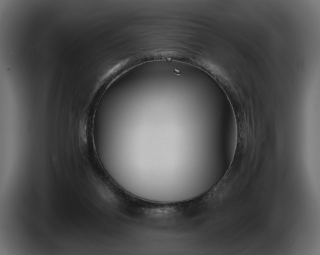 X0000085830112200703231429