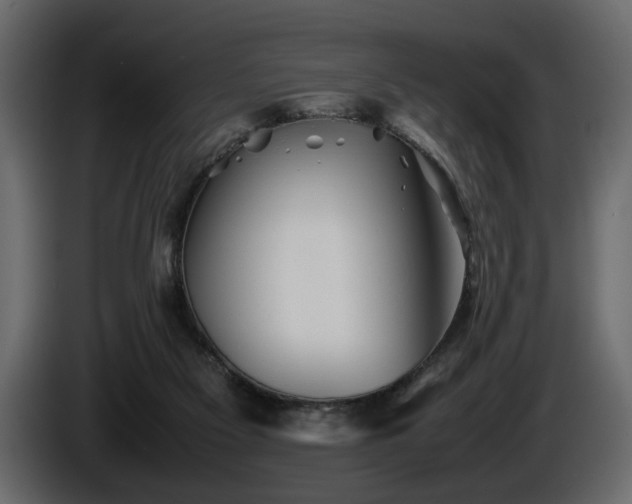 X0000085830117200703231429