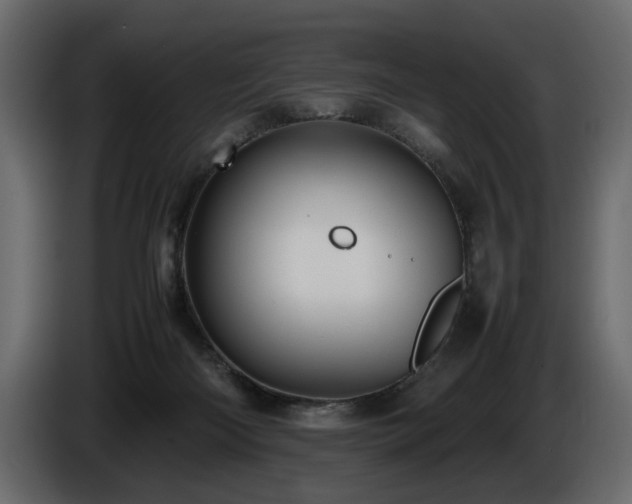 X0000085830122200703231429