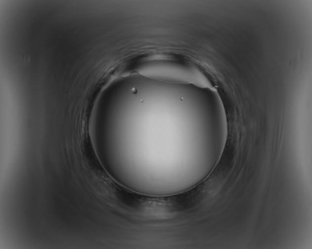 X0000085830123200703231429