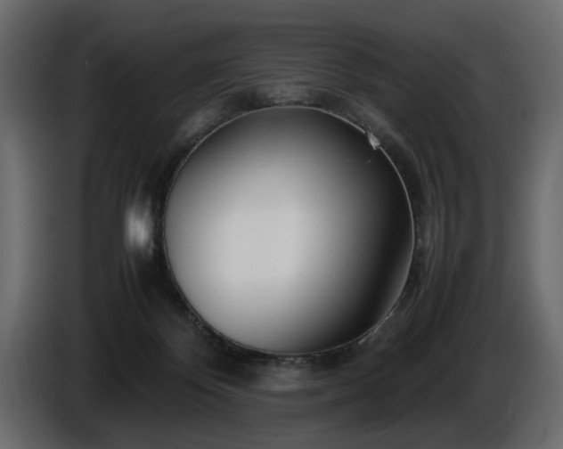 X0000085830124200703231429