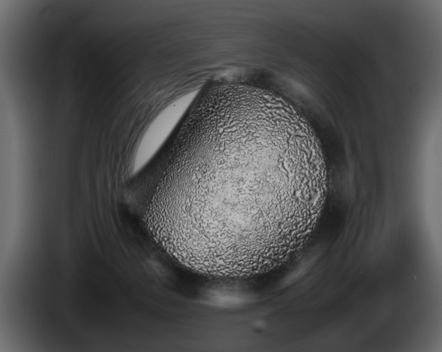 X0000085830127200703231429