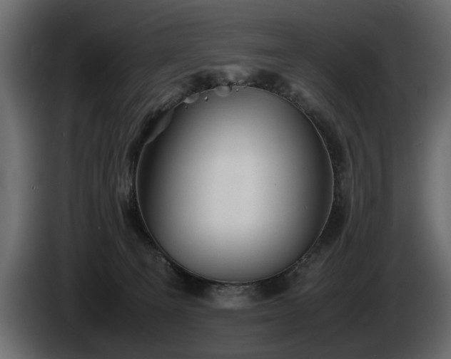 X0000085830129200703231429