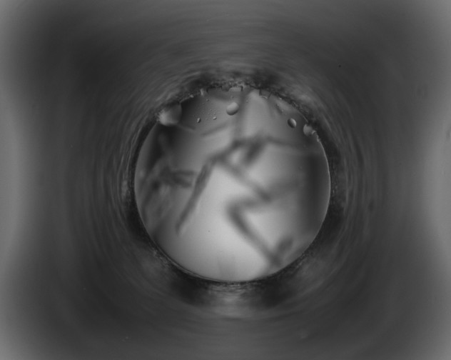 X0000085830131200703231429