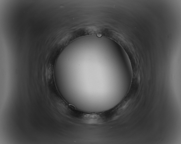 X0000085830133200703231429