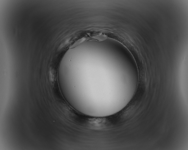 X0000085830135200703231429