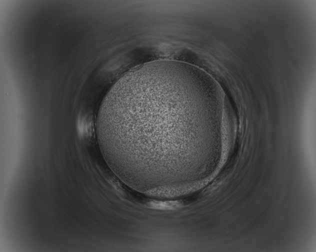 X0000085830137200703231429