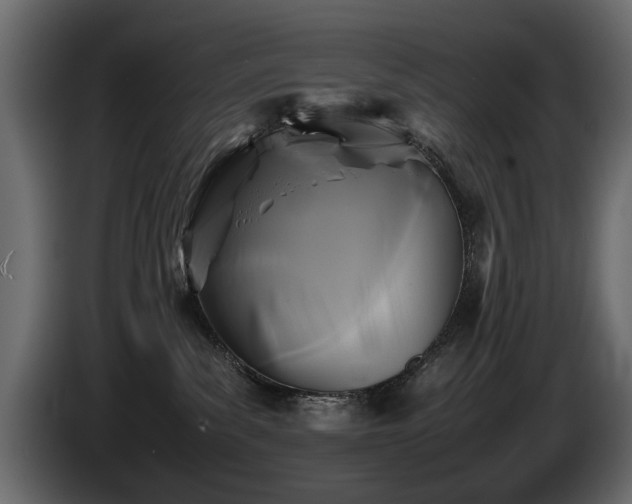 X0000085830139200703231429