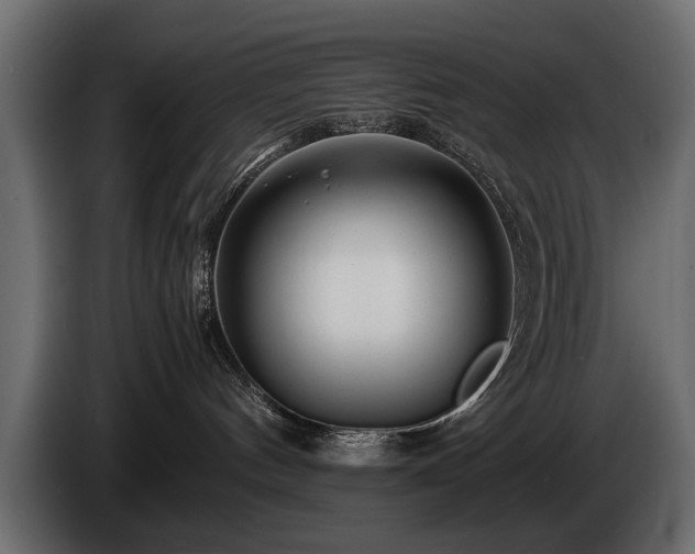 X0000085830144200703231428