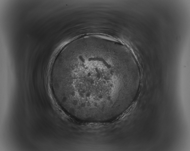 X0000085830145200703231428