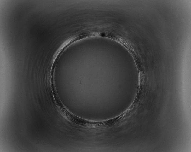 X0000085830147200703231428