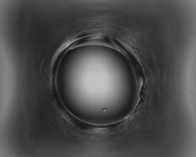 X0000085830150200703231428