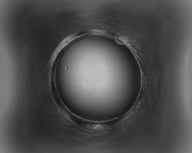 X0000085830151200703231428