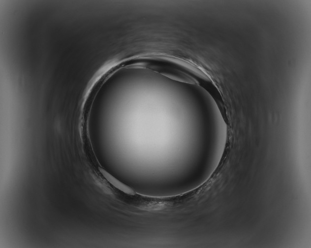 X0000085830152200703231428