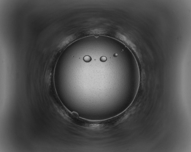 X0000085830153200703231428