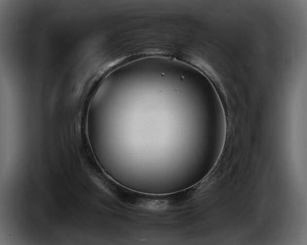 X0000085830155200703231428