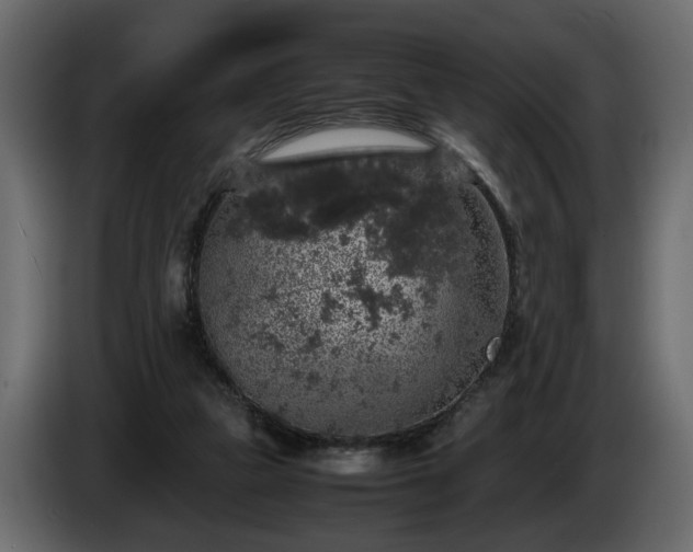 X0000085830161200703231428