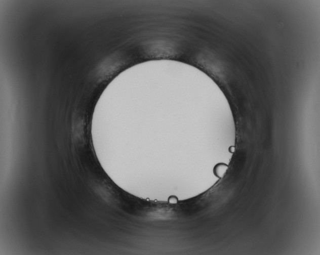 X0000085830162200703231428