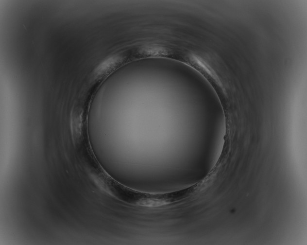 X0000085830163200703231428