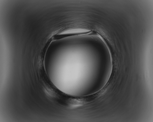 X0000085830164200703231428