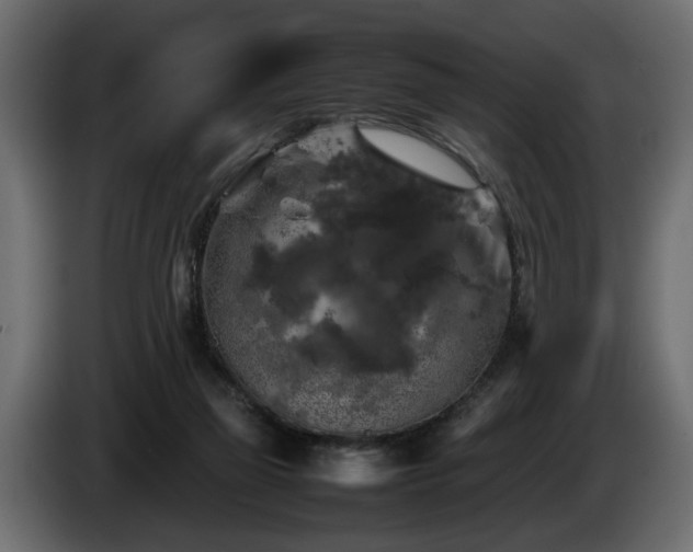 X0000085830165200703231428