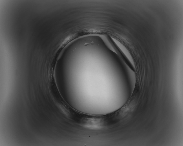 X0000085830168200703231428