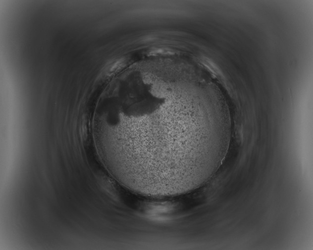 X0000085830169200703231428