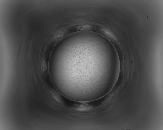 X0000085830173200703231428