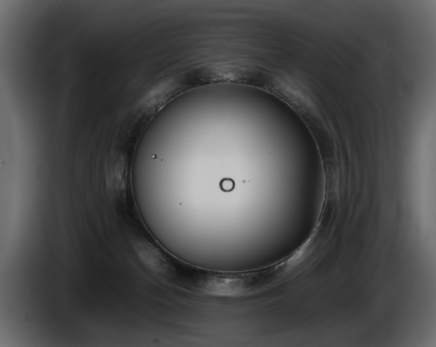 X0000085830174200703231428