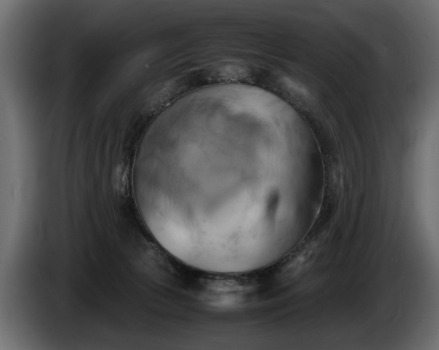 X0000085830177200703231428