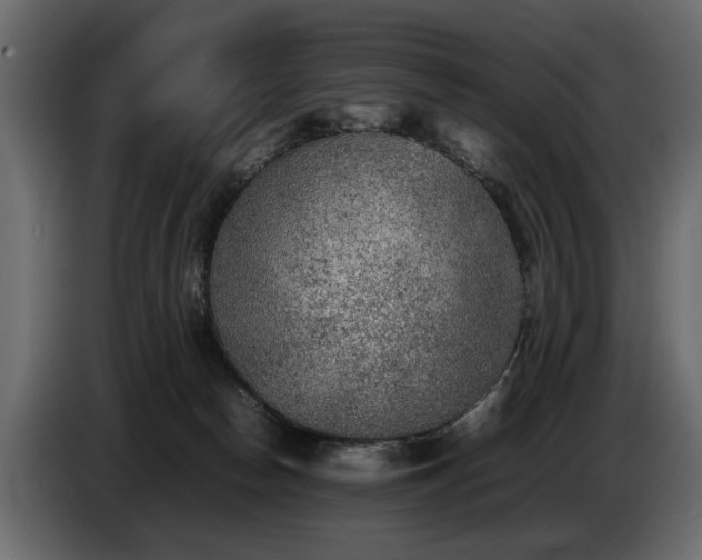 X0000085830178200703231428