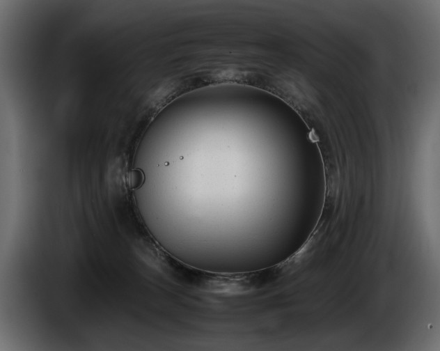 X0000085830179200703231428