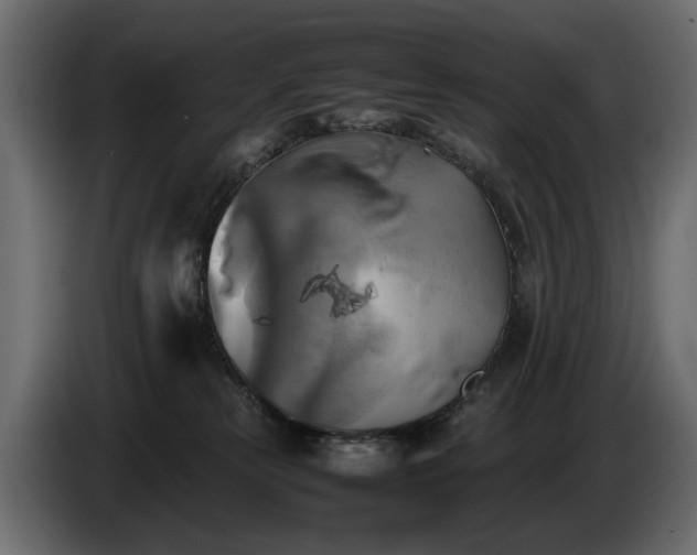 X0000085830181200703231428