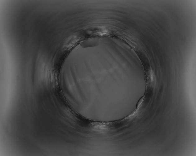 X0000085830182200703231428