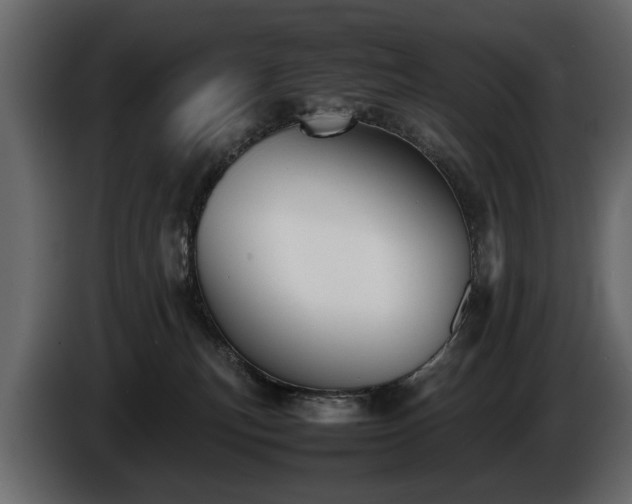 X0000085830183200703231428