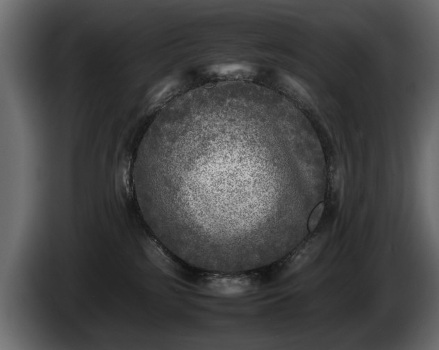 X0000085830185200703231428