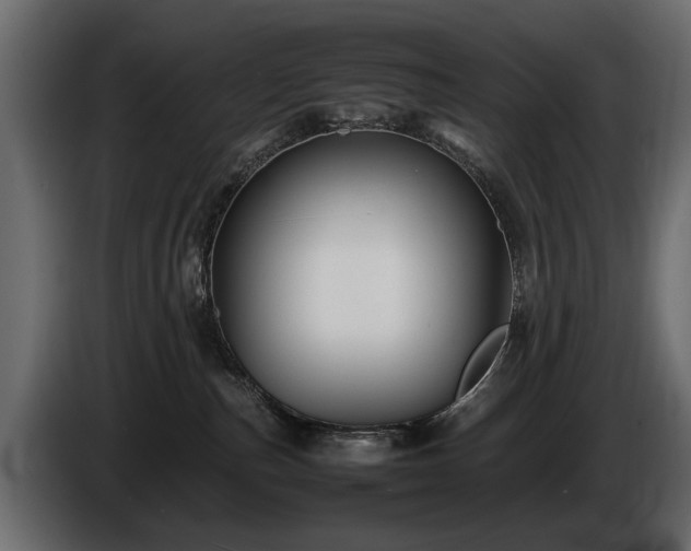 X0000085830187200703231428