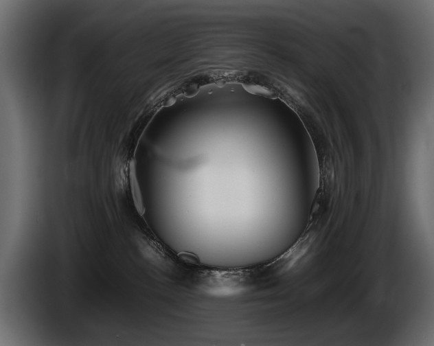 X0000085830188200703231428