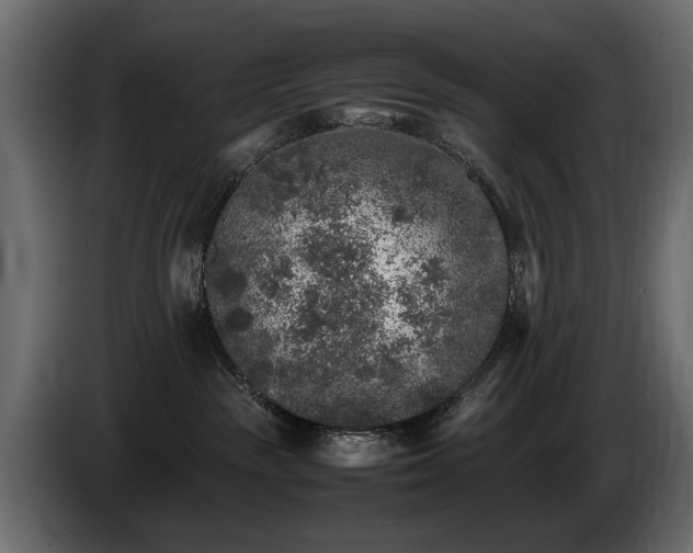 X0000085830189200703231428