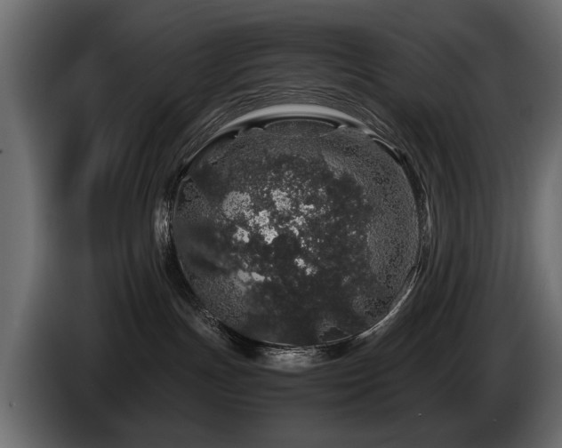 X0000085830191200703231428