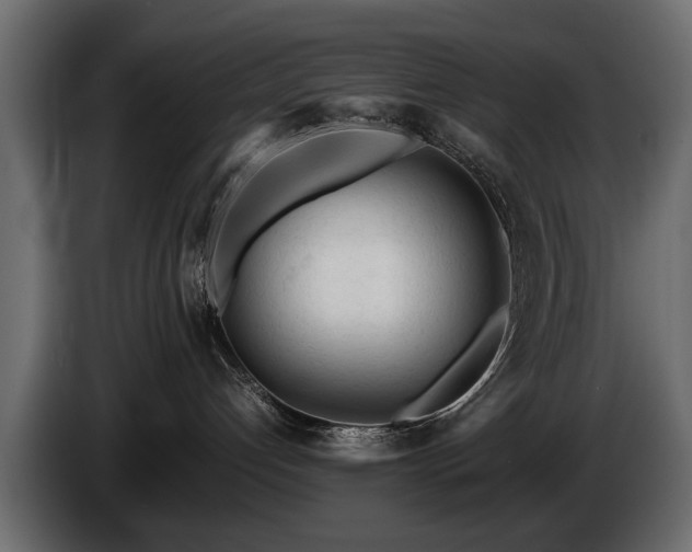 X0000085830192200703231428