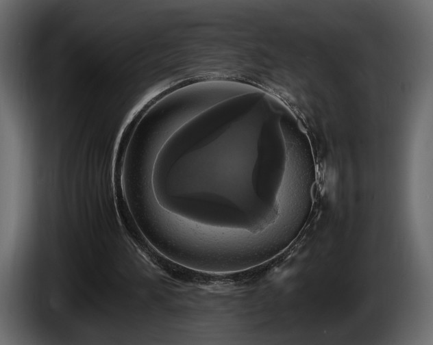 X0000085830196200703231428