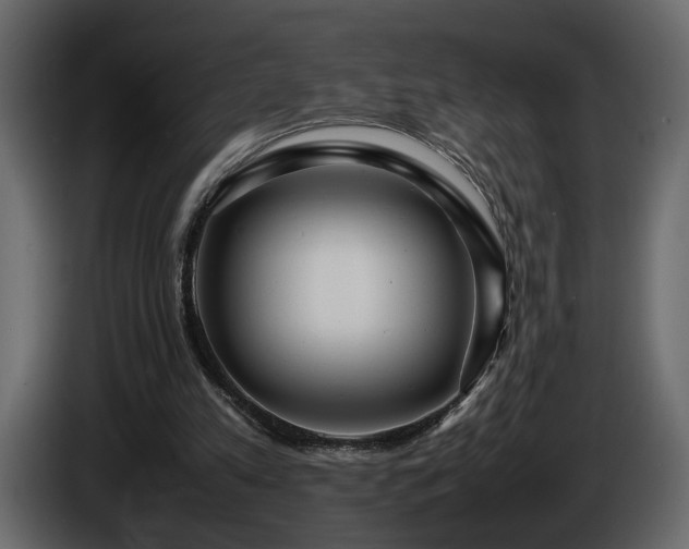 X0000085830197200703231428