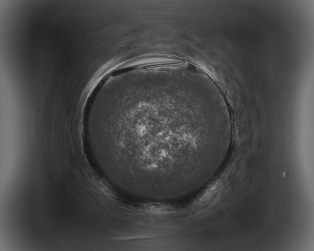 X0000085830199200703231428