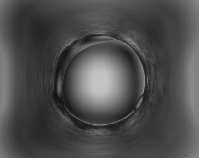 X0000085830201200703231428