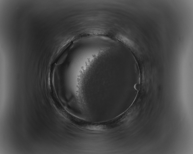 X0000085830202200703231428