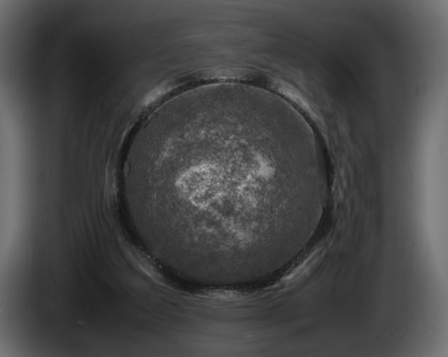 X0000085830203200703231428